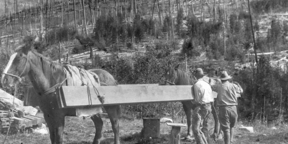 Packing Lumber art print by Vintage Photography for $57.95 CAD