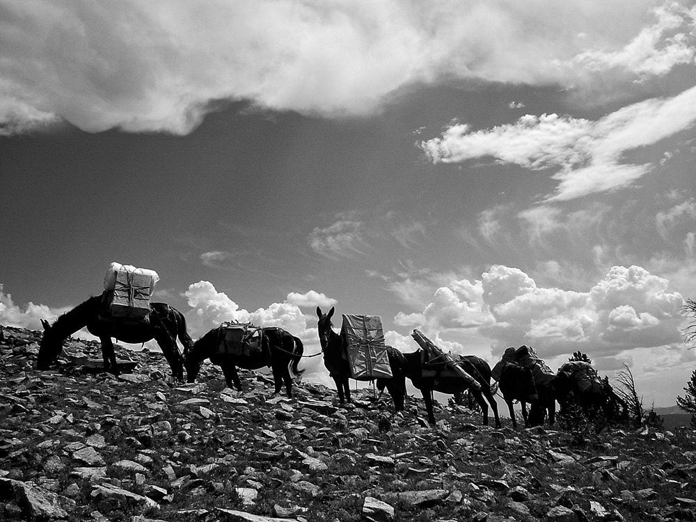 Sheepeater Mountain Fire Look Out art print by Vintage Photography for $57.95 CAD