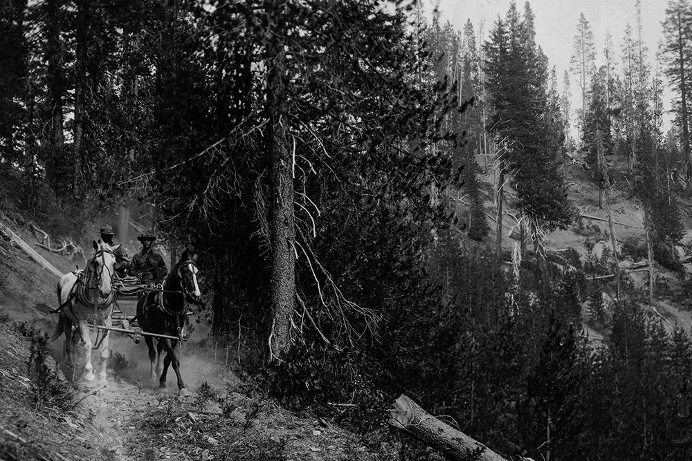 Wagon on Trail from Diamond Lake art print by Vintage Photography for $57.95 CAD