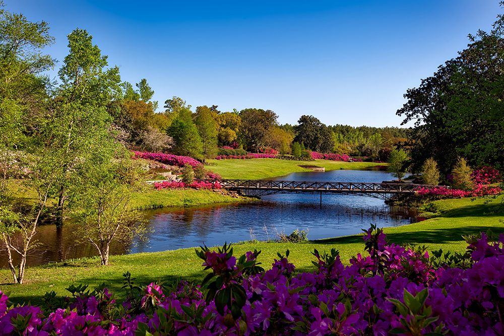 Bellingrath Gardens Alabama I art print by Alabama Picture Archive for $57.95 CAD