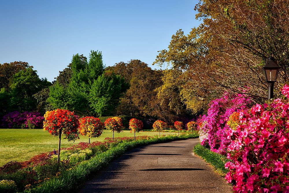 Bellingrath Gardens Alabama II art print by Alabama Picture Archive for $57.95 CAD