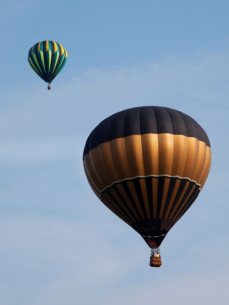 Decatur-Alabama Annual Hot Air Balloon Jubilee Festival art print by Carol Highsmith for $57.95 CAD
