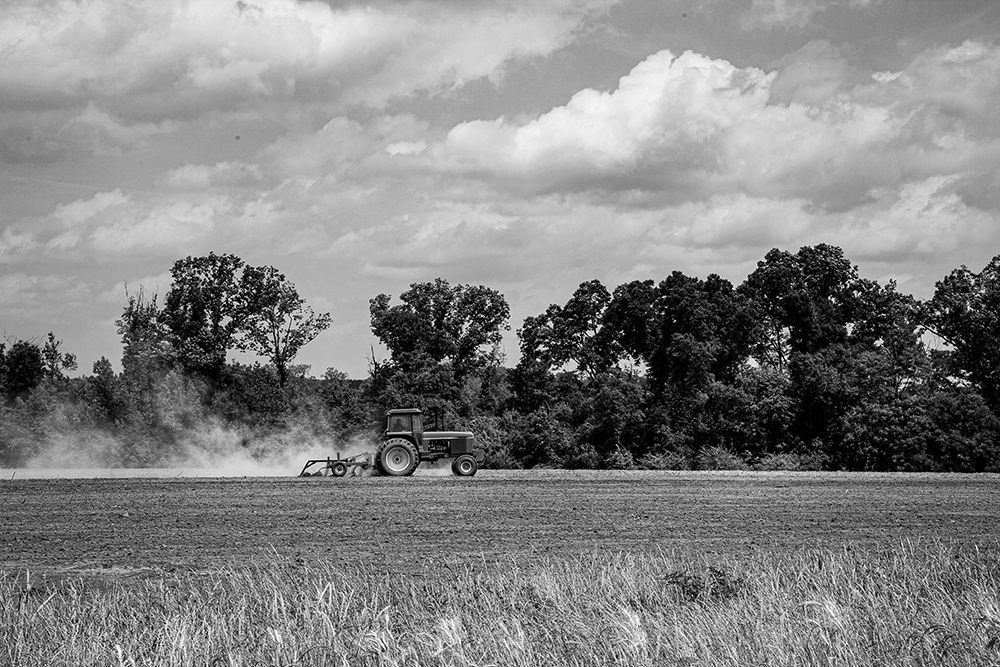Farmland in Monroe County-Alabama art print by Carol Highsmith for $57.95 CAD