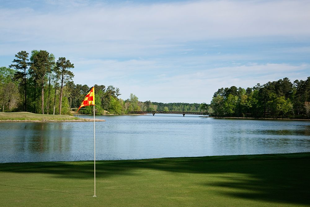 Grand National Golf Course II art print by Carol Highsmith for $57.95 CAD