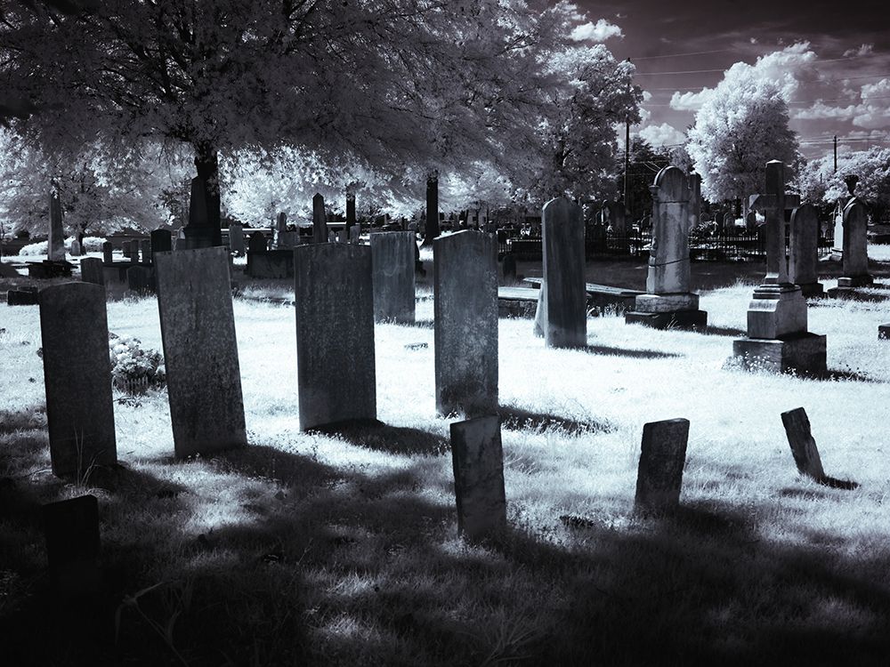 Greenwood Cemetery in Tuscaloosa-Alabama art print by Carol Highsmith for $57.95 CAD