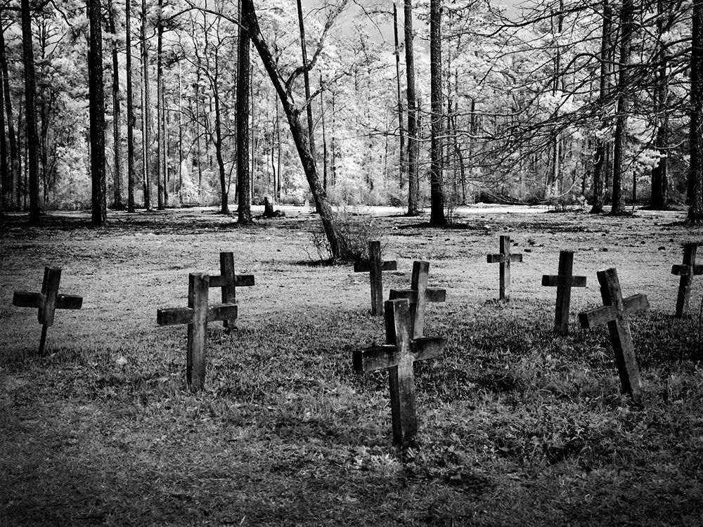 Historic Blakeley State Park in Alabama art print by Carol Highsmith for $57.95 CAD