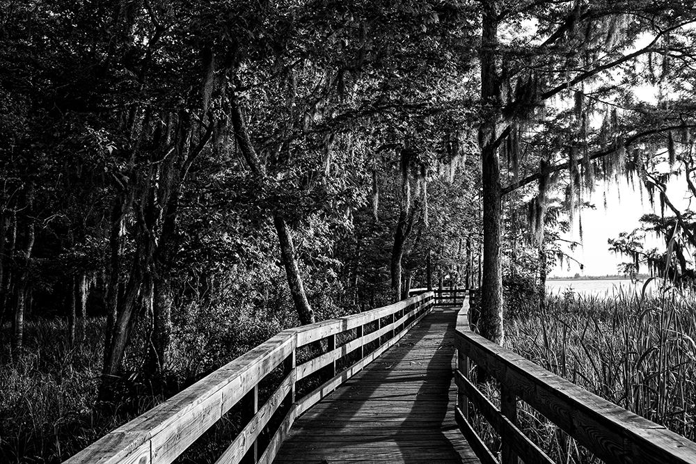 Historic Blakeley State Park on the Tensaw River art print by Alabama Picture Archive for $57.95 CAD