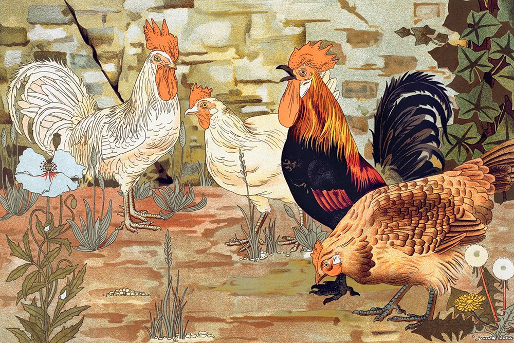 Coqs et poules from Lanimal dans la decoration art print by Maurice Pillard Verneuil for $57.95 CAD