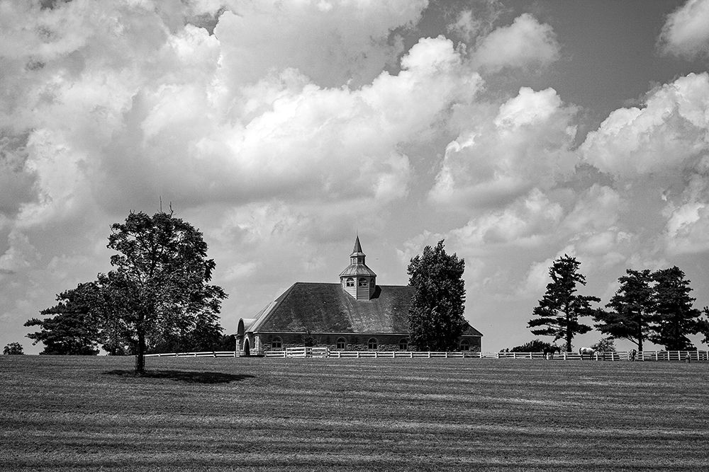 Horse Farm in Lexington-Kentucky art print by Carol Highsmith for $57.95 CAD