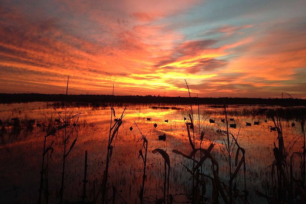March Sunrise in Missouri art print by Doug Helmers for $57.95 CAD
