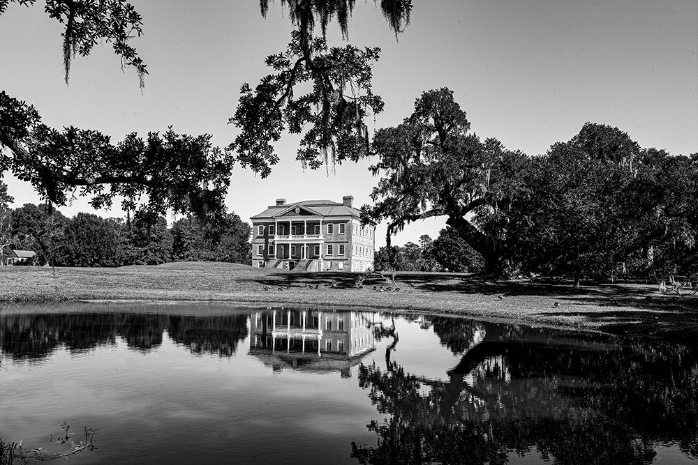 Plantation in Charleston-South Carolina art print by Carol Highsmith for $57.95 CAD