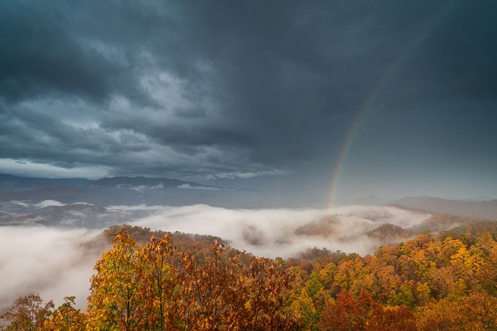 Foothills Parkway Tennessee During Autumn III art print by Tennessee Picture Archive for $57.95 CAD