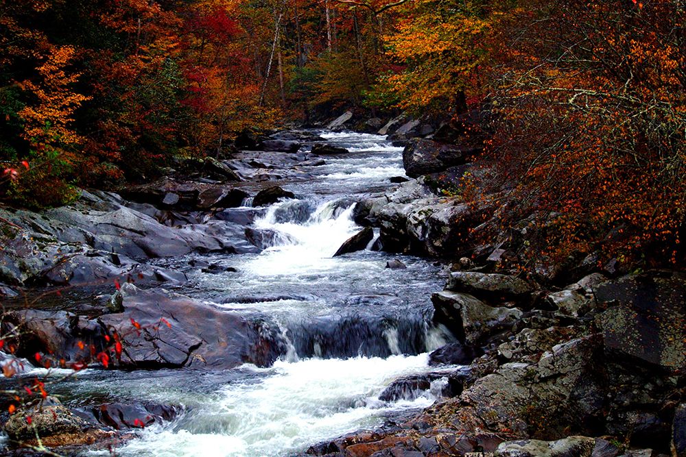 Tennessee Great Smoky Mountains National Park art print by Tennessee Picture Archive for $57.95 CAD