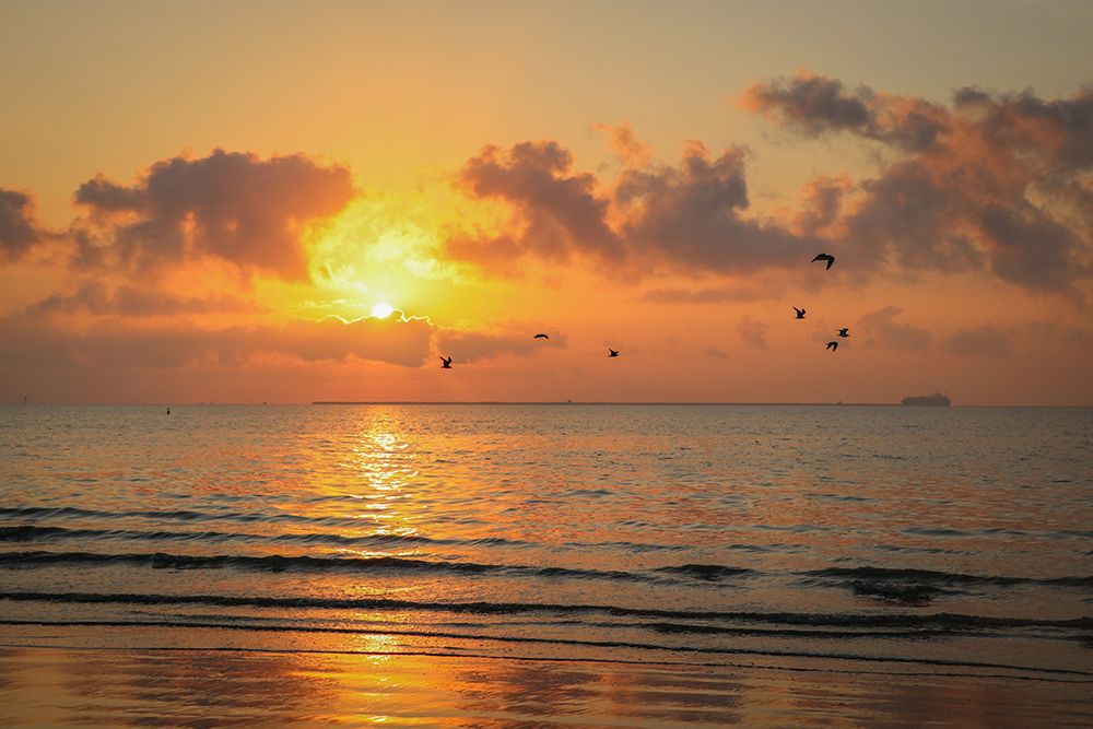 Gulf Coast Sunset art print by Texas Picture Archive for $57.95 CAD
