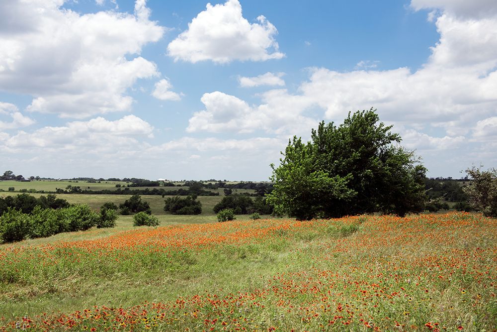 Lonesome Pine Ranch-Austin-Texas art print by Carol Highsmith for $57.95 CAD
