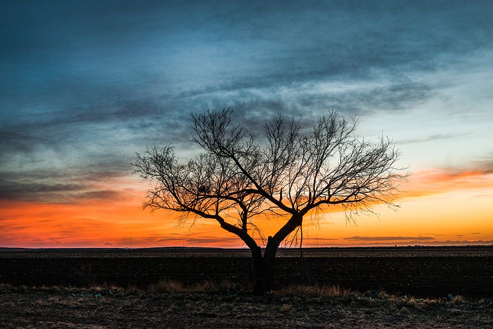Sunset Scene in rural Tom Green County-Texas art print by Carol Highsmith for $57.95 CAD