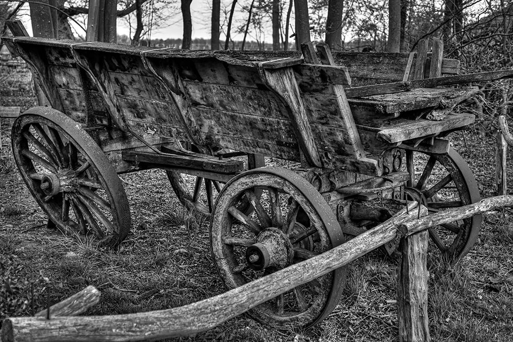 Antique Cart art print by Vintage Photo Archive for $57.95 CAD