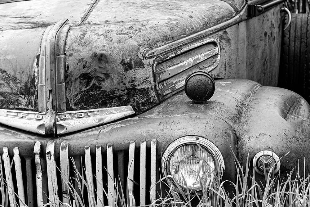 Back to Nature art print by Vintage Photo Archive for $57.95 CAD