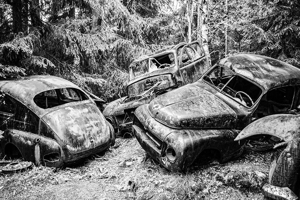 Graveyard in the Forest art print by Vintage Photo Archive for $57.95 CAD