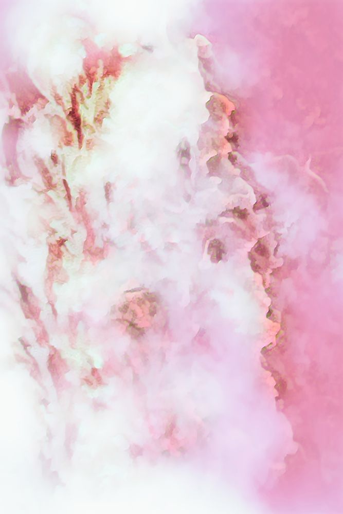 Dreaming of Roses art print by Alpenglow Workshop for $57.95 CAD