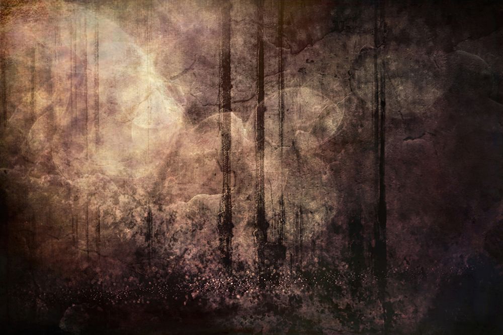 Wood between the Worlds art print by Alpenglow Workshop for $57.95 CAD
