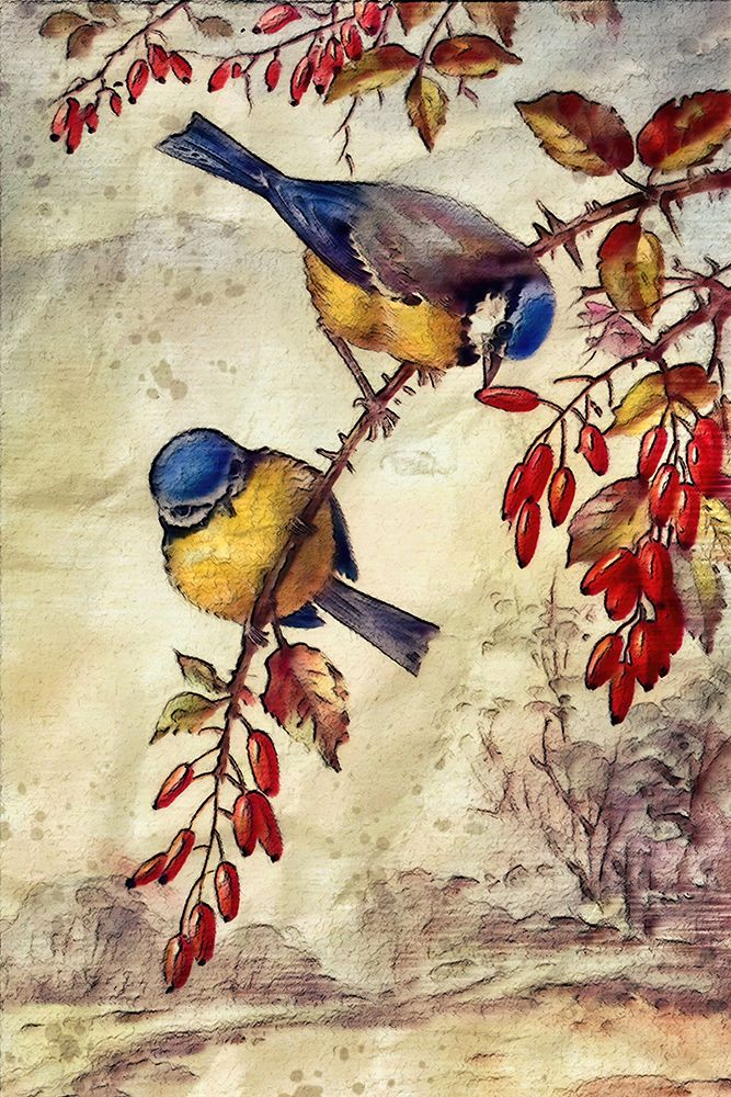 Autumn Bluebirds art print by Alpenglow Workshop for $57.95 CAD