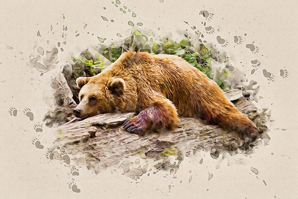 Bearly There art print by Alpenglow Workshop for $57.95 CAD