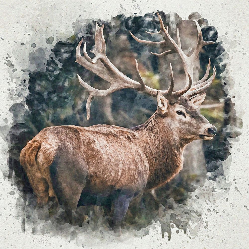 Forest Prince art print by Alpenglow Workshop for $57.95 CAD
