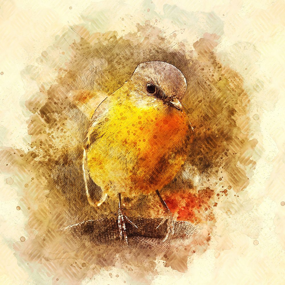 Little Bird art print by Alpenglow Workshop for $57.95 CAD