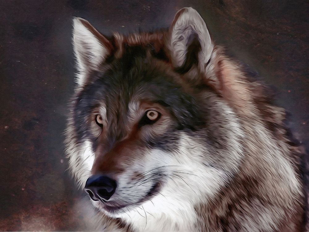 Midnight Watcher art print by Alpenglow Workshop for $57.95 CAD