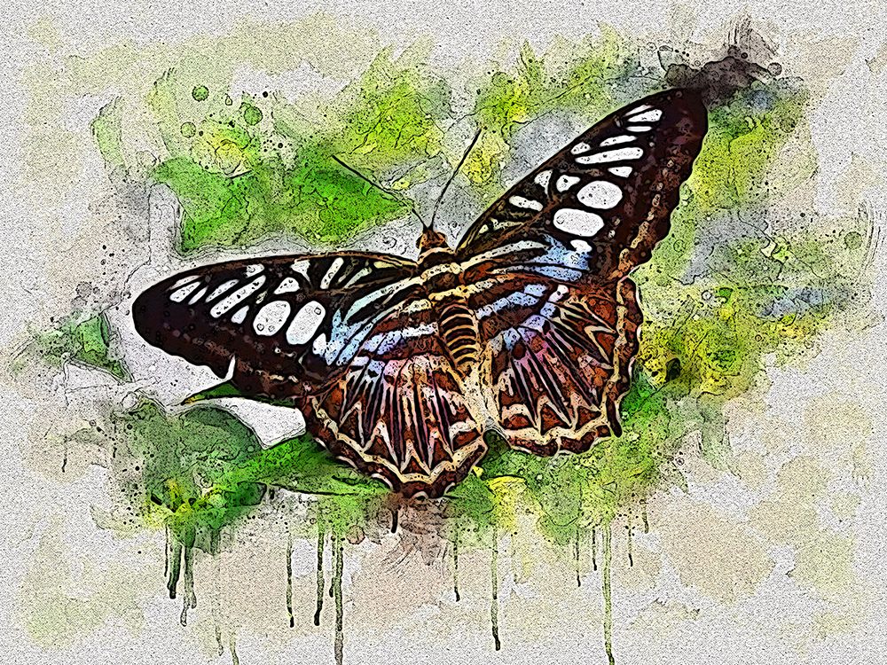 Outstretched Wings art print by Alpenglow Workshop for $57.95 CAD