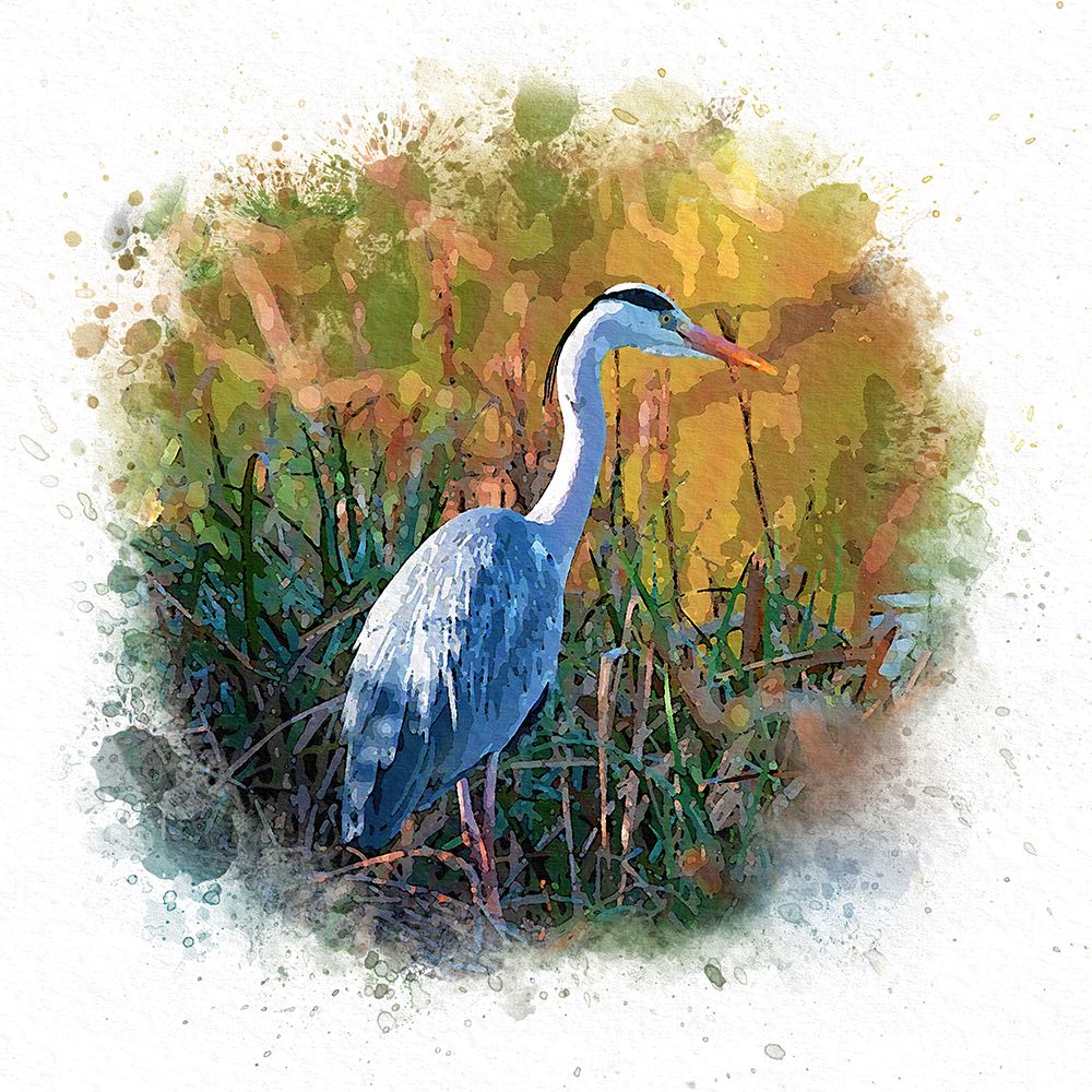 Patiently Waiting art print by Alpenglow Workshop for $57.95 CAD