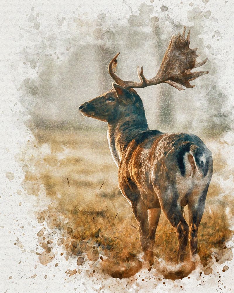 Silent Observer art print by Alpenglow Workshop for $57.95 CAD