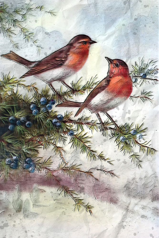 Winter Robins art print by Alpenglow Workshop for $57.95 CAD