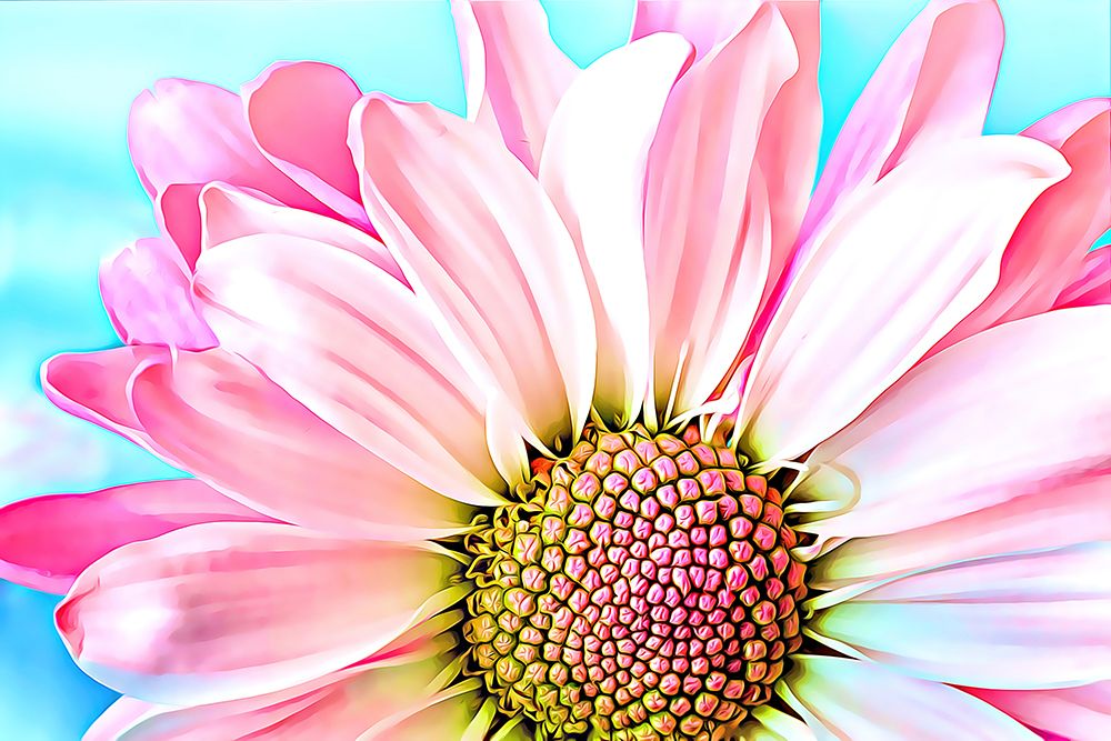 Pink Dahlia art print by Alpenglow Workshop for $57.95 CAD