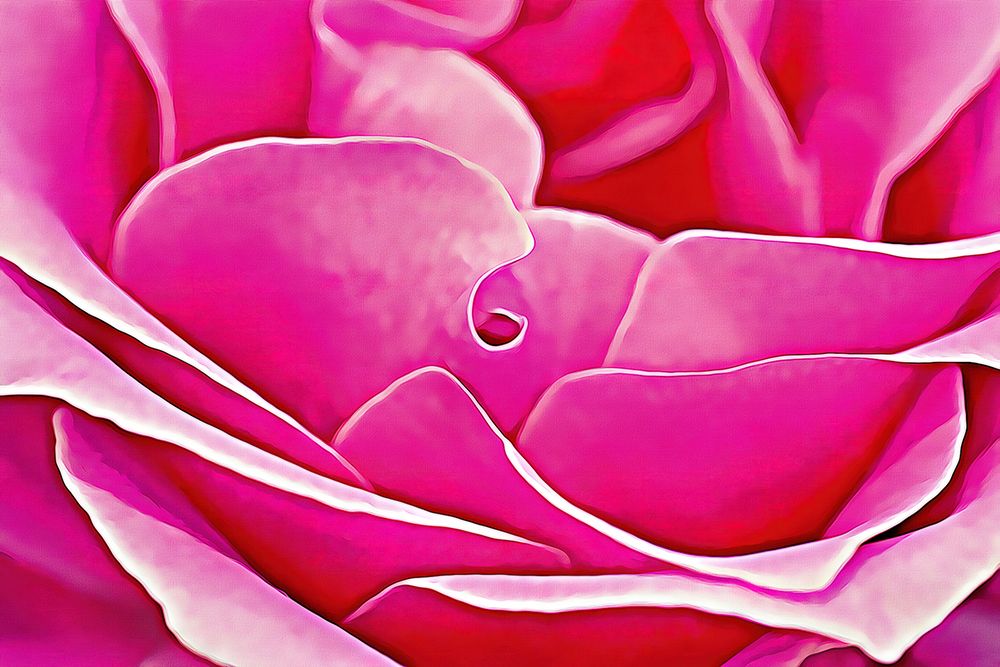 Pink Perfection Rose art print by Alpenglow Workshop for $57.95 CAD