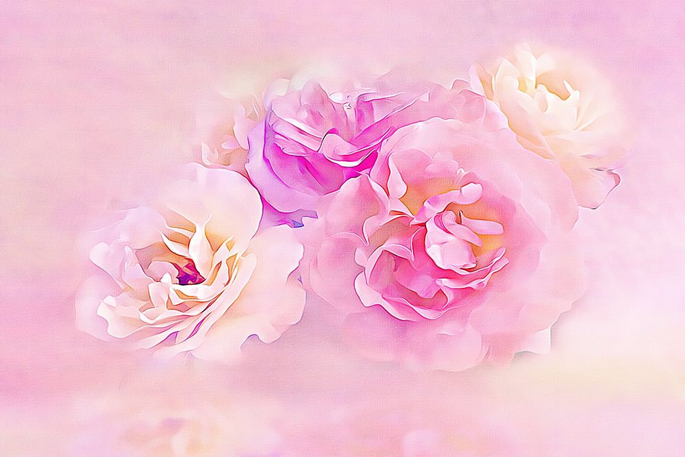 Pink Roses in the Clouds art print by Alpenglow Workshop for $57.95 CAD