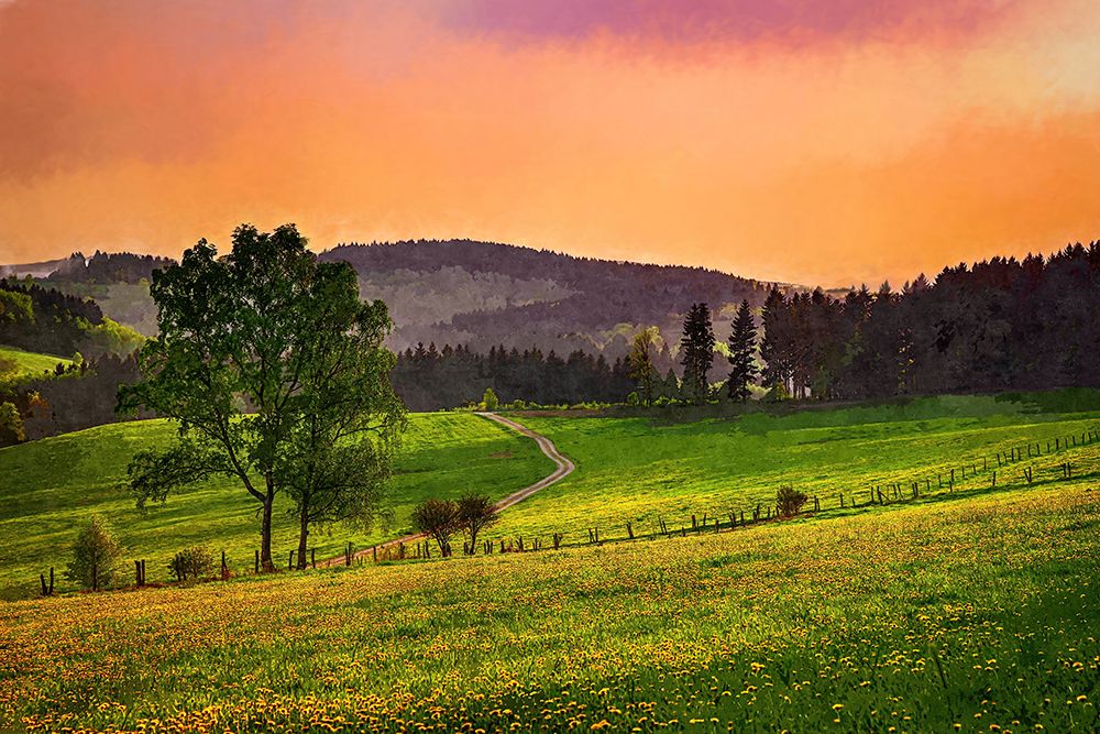Evening Pasture art print by Alpenglow Workshop for $57.95 CAD