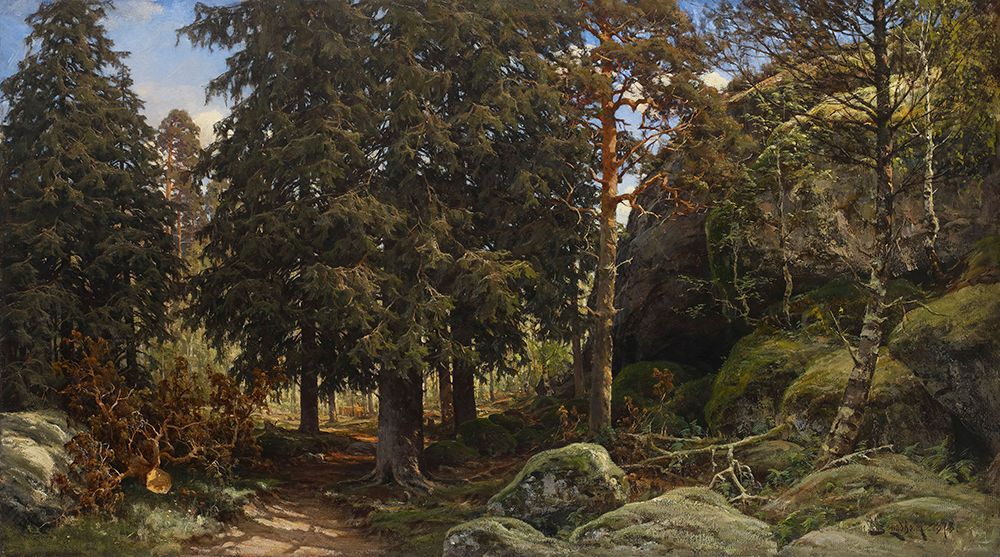 Forest Interior art print by Alpenglow Workshop for $57.95 CAD