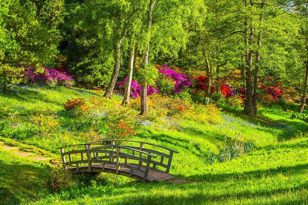 Garden Footpath Bridge art print by Alpenglow Workshop for $57.95 CAD