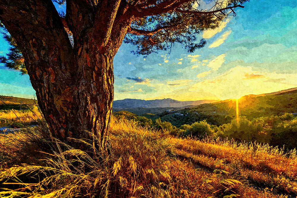 Gnarled Tree at Sunset art print by Alpenglow Workshop for $57.95 CAD