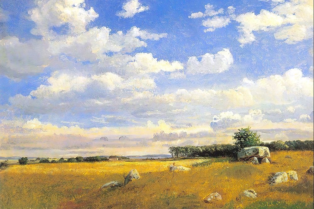 Meadow with Rocky Outcrops art print by Alpenglow Workshop for $57.95 CAD