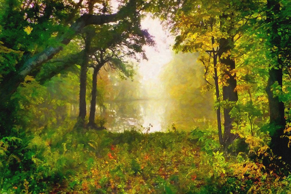 Morning Mist art print by Alpenglow Workshop for $57.95 CAD