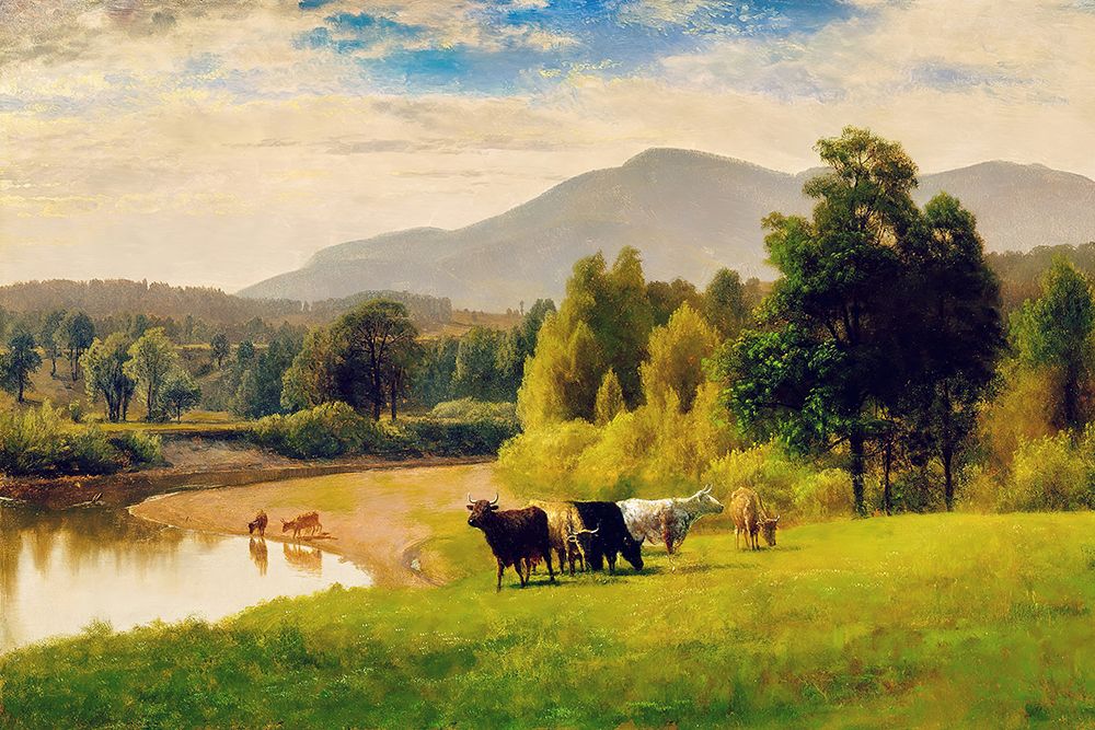 Pasture Lands art print by Alpenglow Workshop for $57.95 CAD