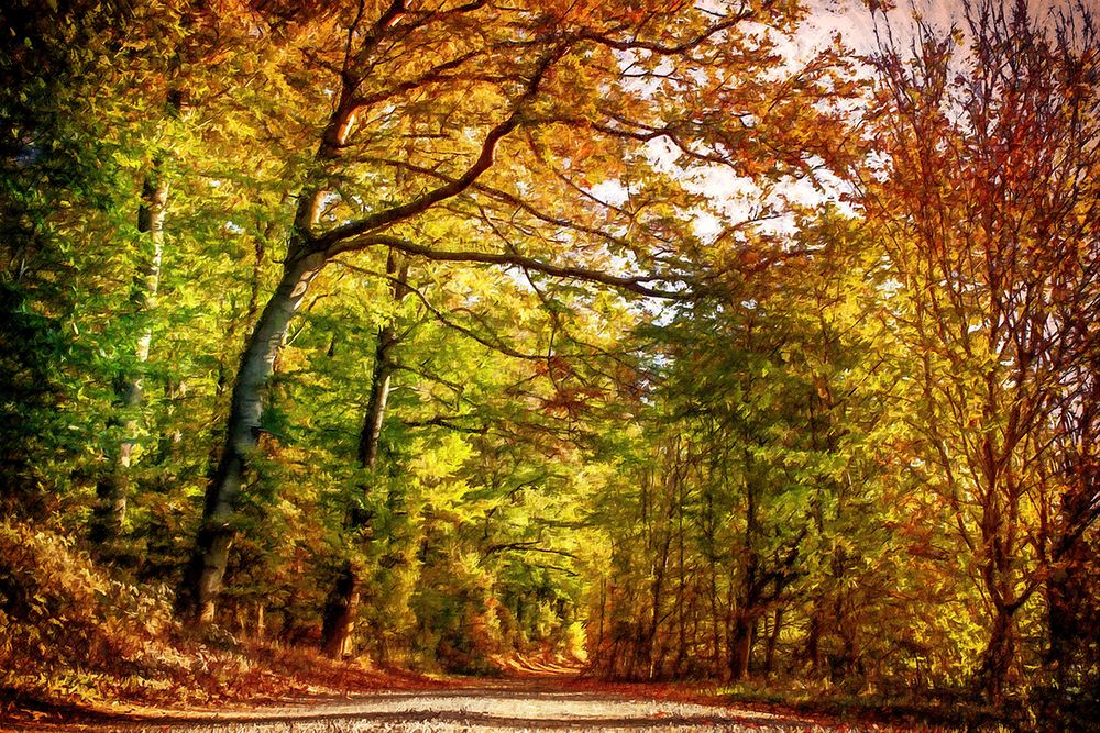 Pathway Through Autumn Leaves art print by Alpenglow Workshop for $57.95 CAD