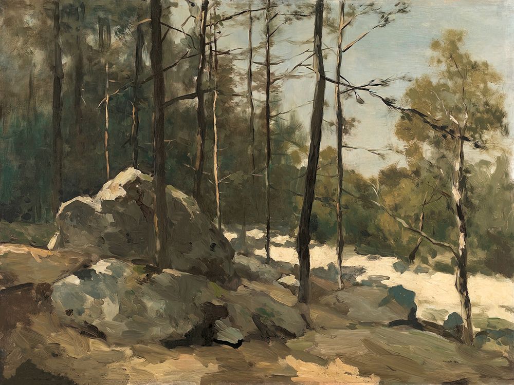 Rocky Path art print by Alpenglow Workshop for $57.95 CAD