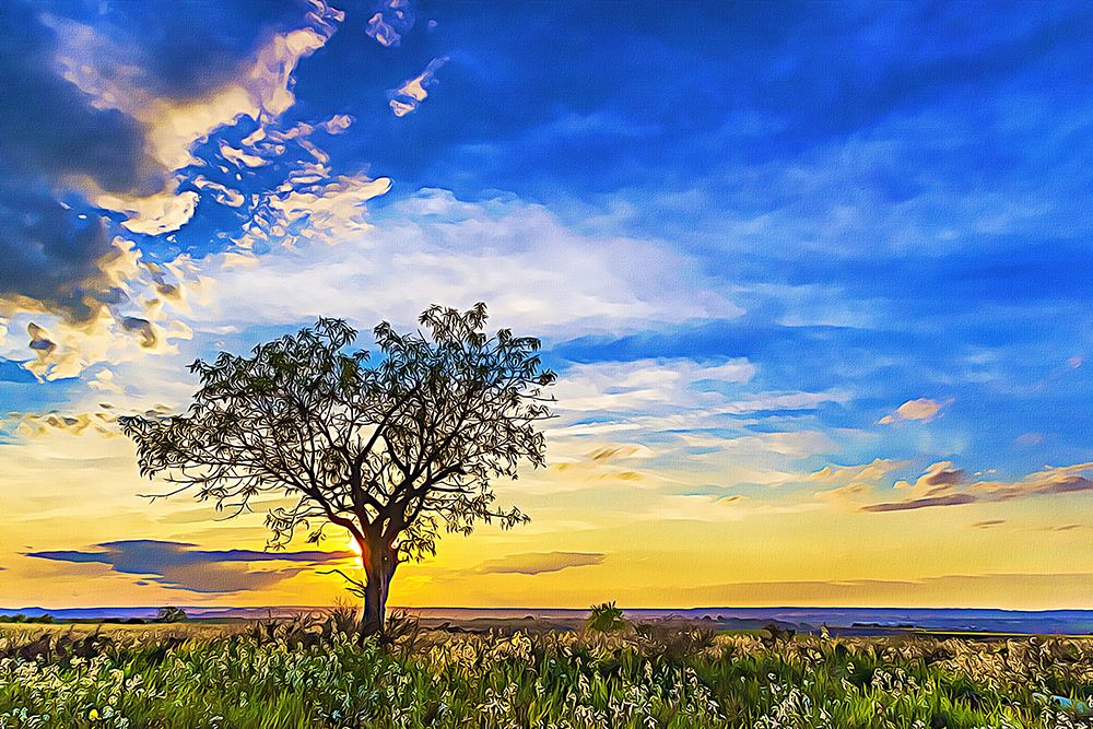 Solitary Tree at Sundown art print by Alpenglow Workshop for $57.95 CAD