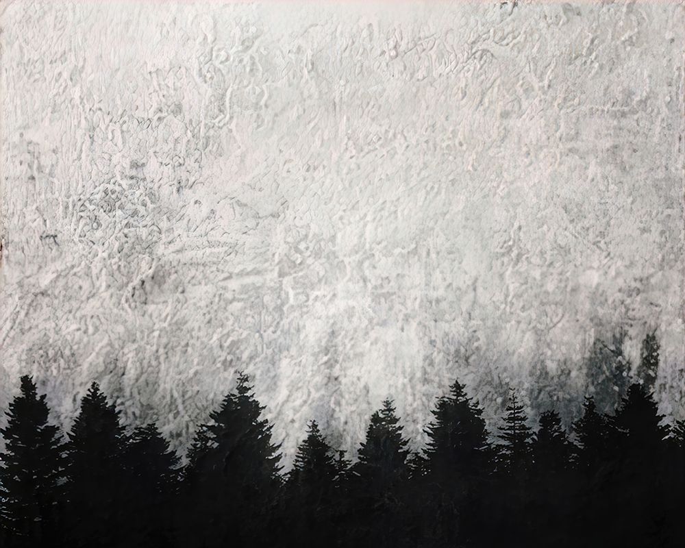 Cloudy Day in the Forest art print by Alpenglow Workshop for $57.95 CAD