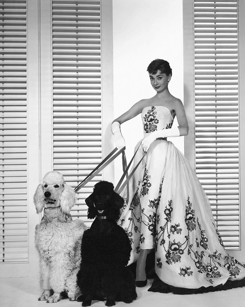 Audrey Hepburn, Sabrina, 1954 art print by Vintage Hollywood Archive for $57.95 CAD