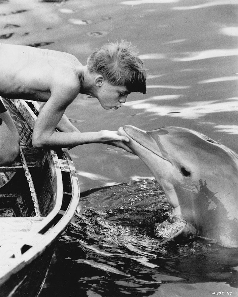 Flipper Luke Halpin, 1963 art print by Vintage Hollywood Archive for $57.95 CAD